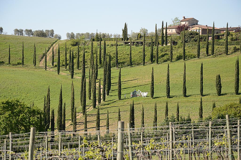 Adalberto - Nella Dimora Di Fulignano Apartment San Gimignano Exterior photo